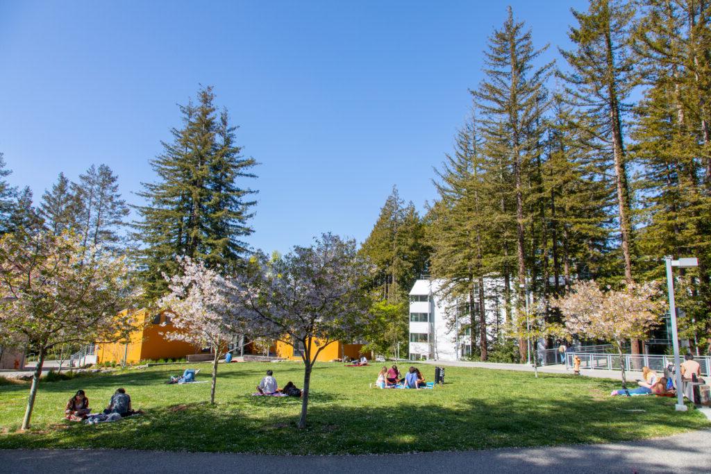 人们坐在梅里尔学院外面的草地上，周围都是建筑和树木.